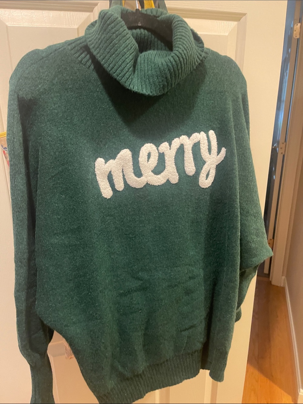 Merry Embroidered Forest Green Turtleneck Sweater